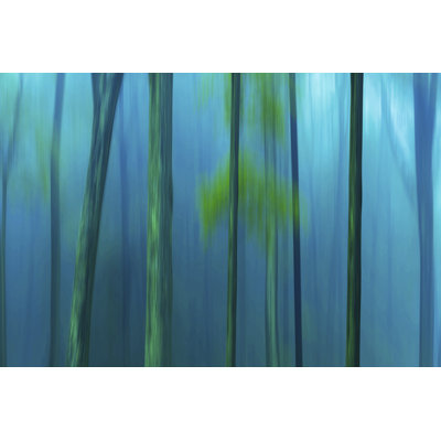 Harriman Woods V 1 Piece Wall Art on Canvas