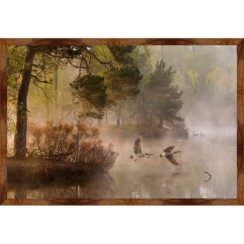 " Goose Fight "