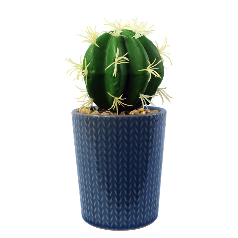 Annistin 17cm Plant, Blue