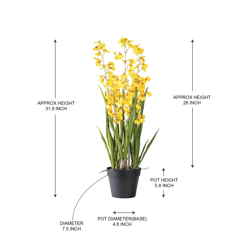  Orchidée jaune en pot, 7,5 po de diamètre et 31,8 po de hauteur