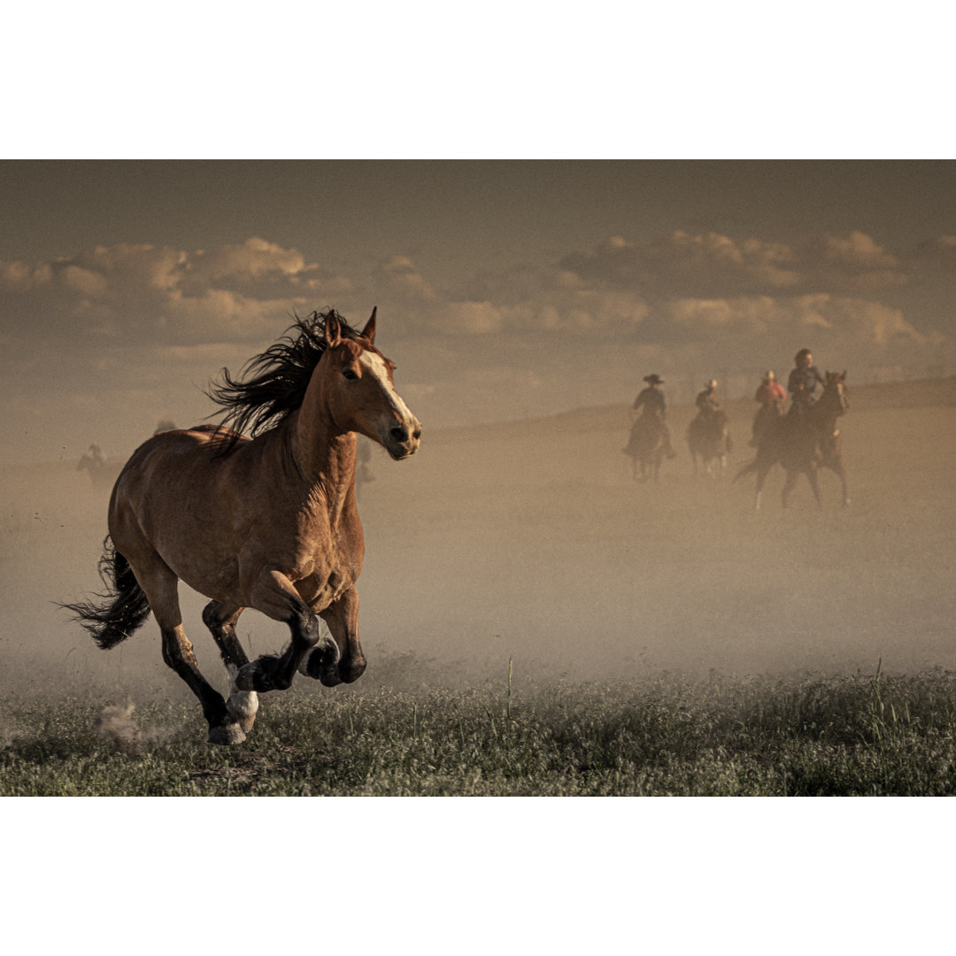 View Of A Horse von Instants - Kunstdrucke auf Leinwand ohne Rahmen