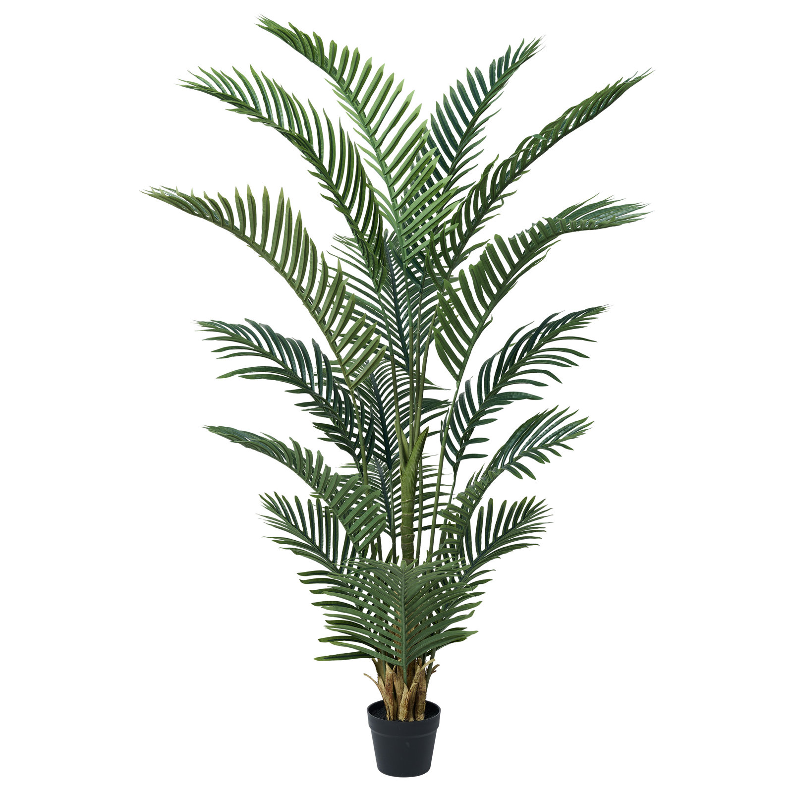 Adcock Palm Tree in Pot, 60" H x 22" W x 22" D, 1
