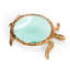 Turtle Magnifying Glass II