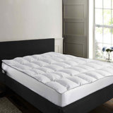 Modern & Contemporary Cotton Solid Colour Duvet