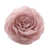 Or rose