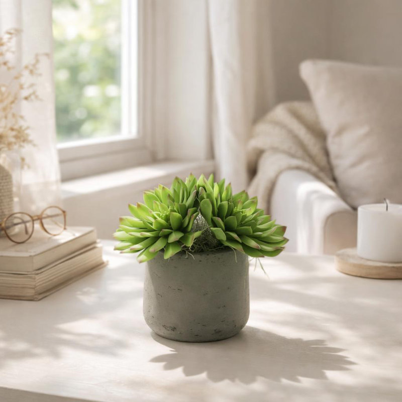 Rockridge Faux Succulent Plant in Fiberstone Pot, Beige