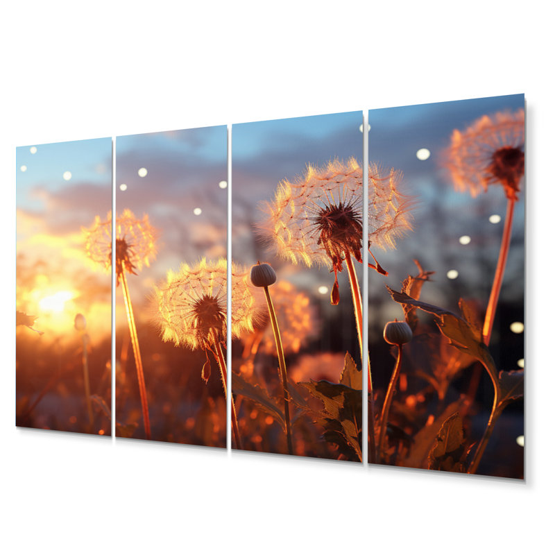 Dandelion Morning Moments III Cities & Countries Wall Decor on Metal