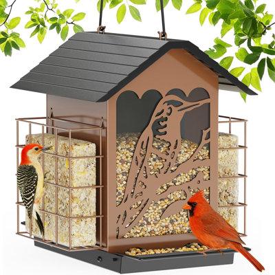 5 Lbs Metal Bird Feeder with Double Suet Cages, 2 in 1 Mixed Seeds Suet Feeder