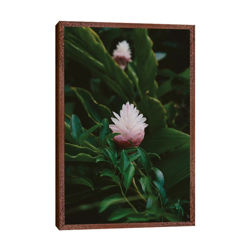Tropical Hawaii IX by Bethany Young - Print on Canvas, Classic Brown Wood Framed, 66.04cm H x 45.72cm W x 3.81cm D