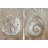 Rustic Sand Dollar And Seashell-1642919722