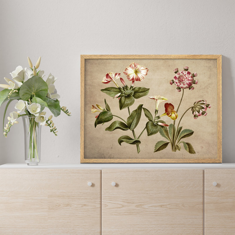 «Morning Glory Flowers Rustic Artwork, impressions encadrées, affiches, petit art mural de salle de bain», Naturel