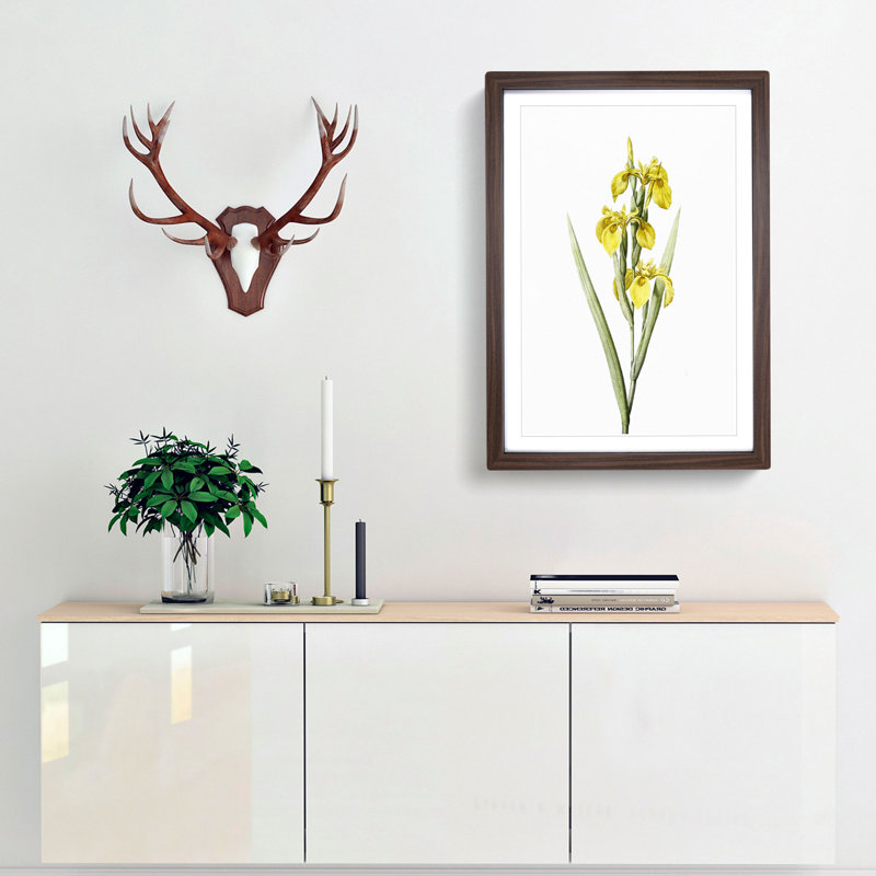 Yellow Irises by Pierre-Joseph Redoute - Picture Frame Painting Print, 36cm H x 27cm W x 2cm D, Walnut Framed