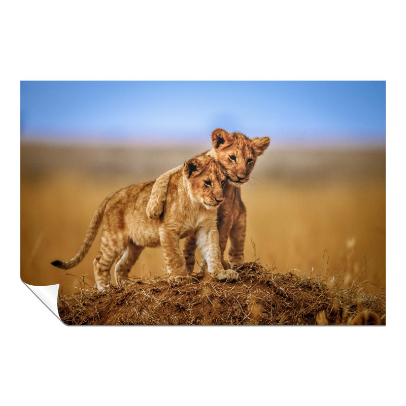 Panther Print Fine Art Prints - No Frame Print, 31cm H x 20cm W