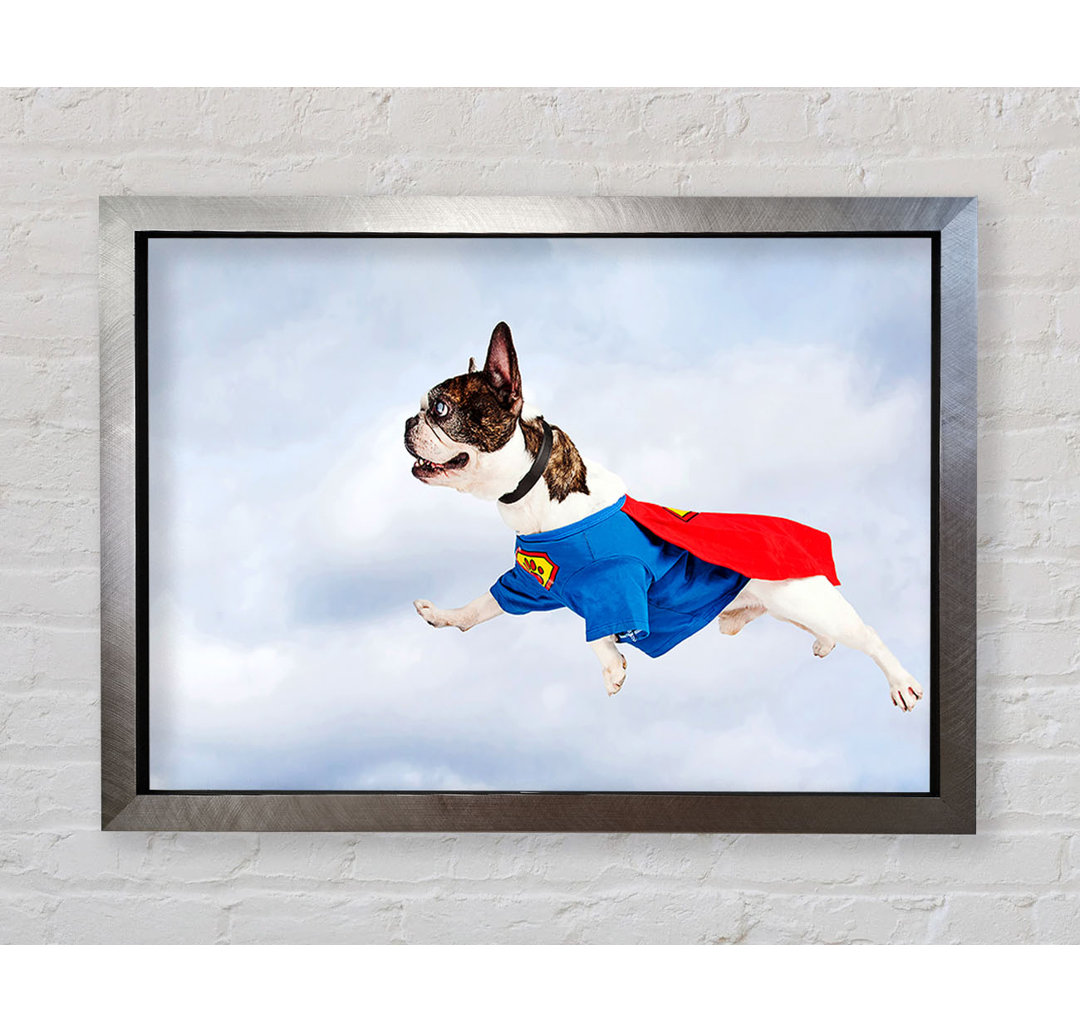 Super Dog Skies - Druck