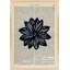PHR-PHR Print by Michela Sorrentino-1149754569-1149754570