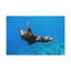 No Frame Print on Canvas-1664392396