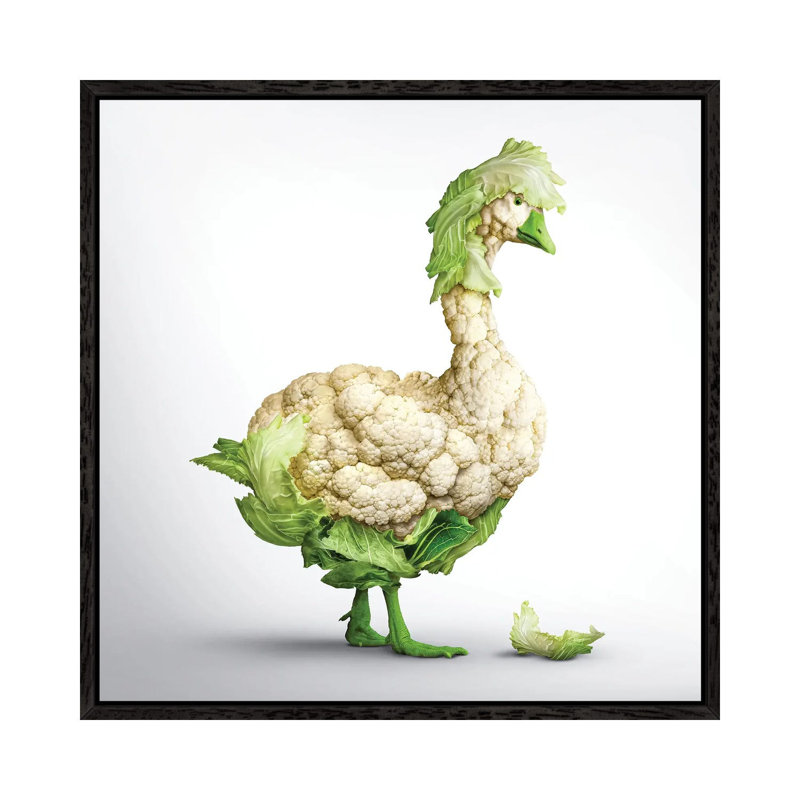 Fabuleon: Goose Cabbage 1 Piece Wall Art on Canvas, 45.72 cm H x 45.72 cm W, Black Framed