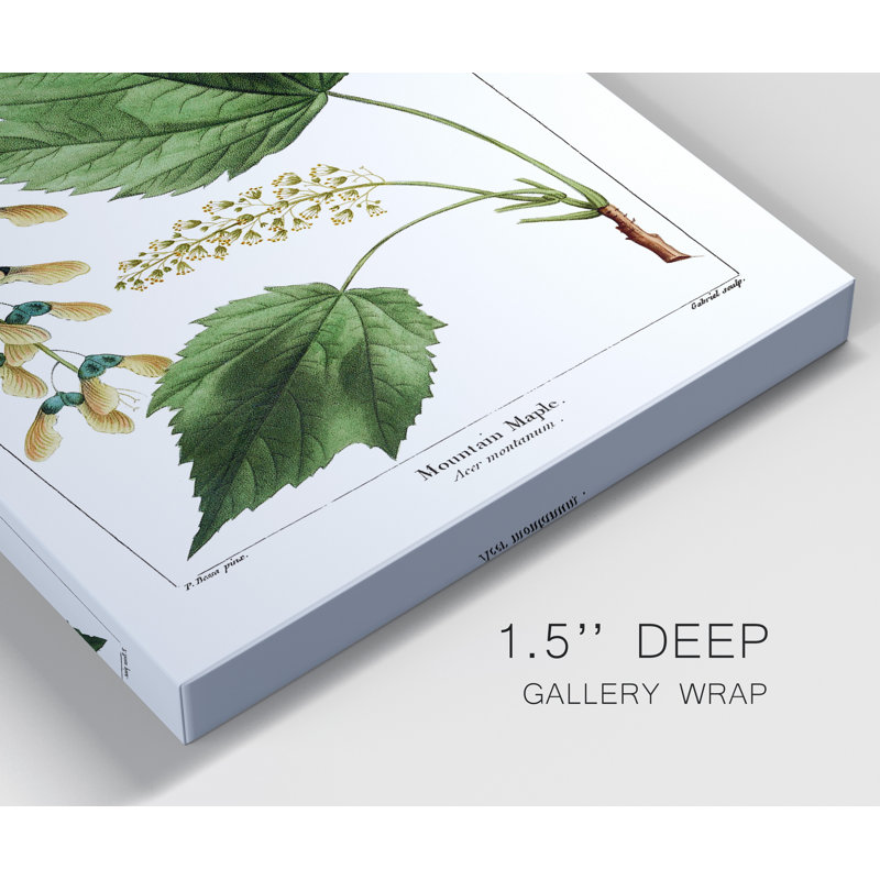 " Mountain Maple " 2 - Pieces, No Mat, 40" H x 60" W x 1" D, Wrapped Canvas