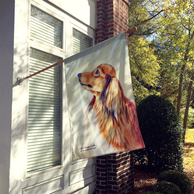 Polyester 40 x 28 po teckel 2 côtés drapeau maison