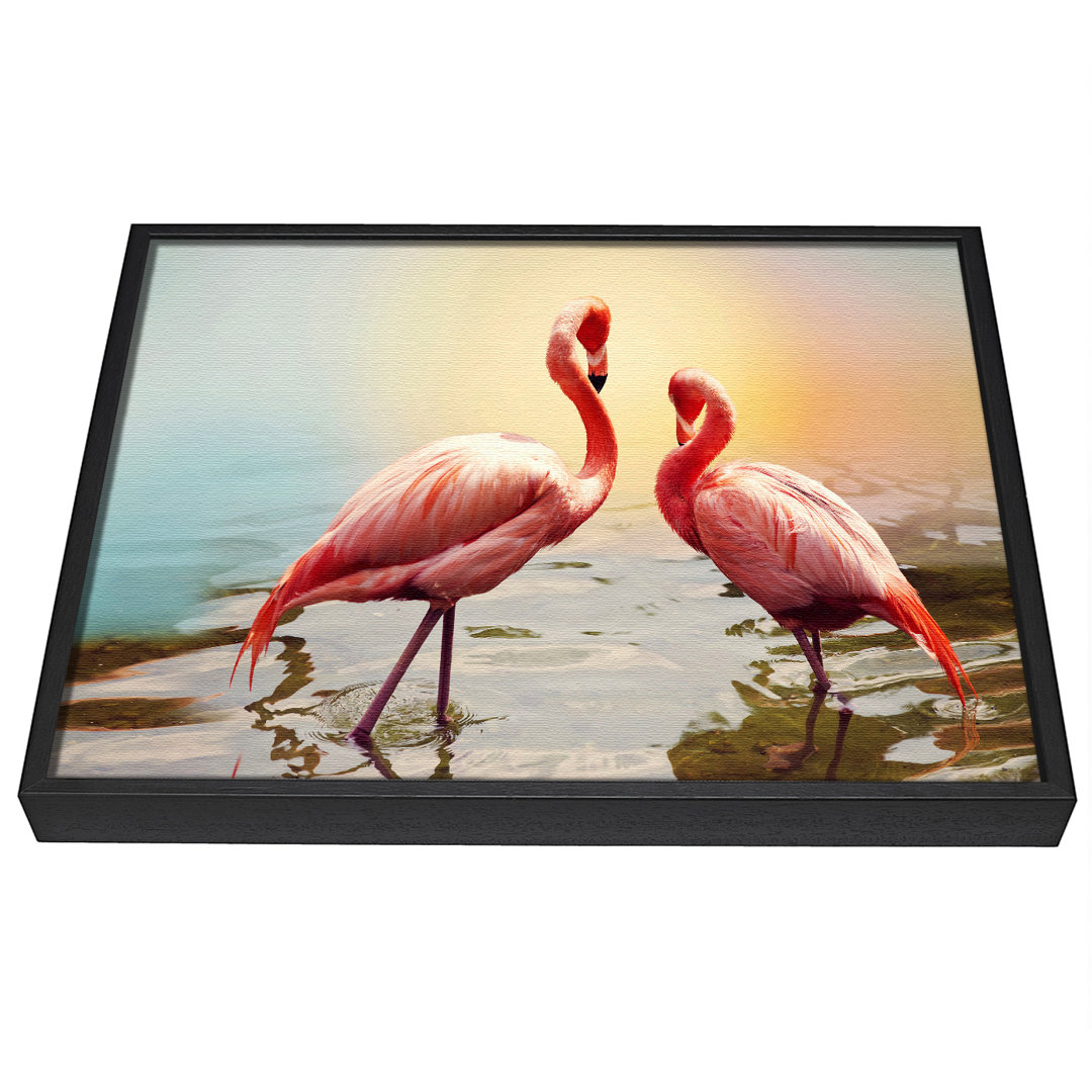 Flamingo Sunset - Einzelner Bilderrahmen Fotografie auf Leinwand