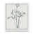 Satin White Framed Paper selected