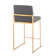 Rakowski Upholstered Counter Stool with Metal Frame