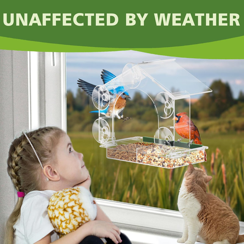 Window Bird Feeder with 5 Extra Strong Suction Cups