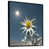 Black Floater Framed
