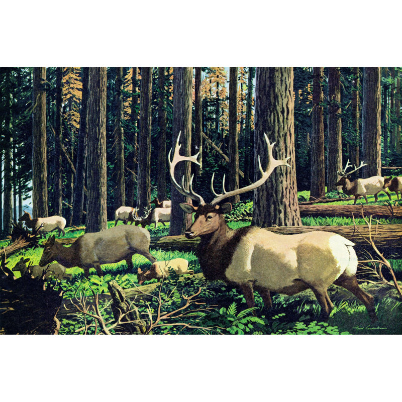 Rustic Elk Herd Canvas Print in Forest Setting, 40" x 60"