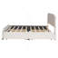 Lit plateforme tapissier avec tête et pied de lit à garniture cloutée et 4 tiroirs sans sommier, tissu velours, grand (beige)