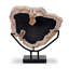 Petrified Wood Sculpture