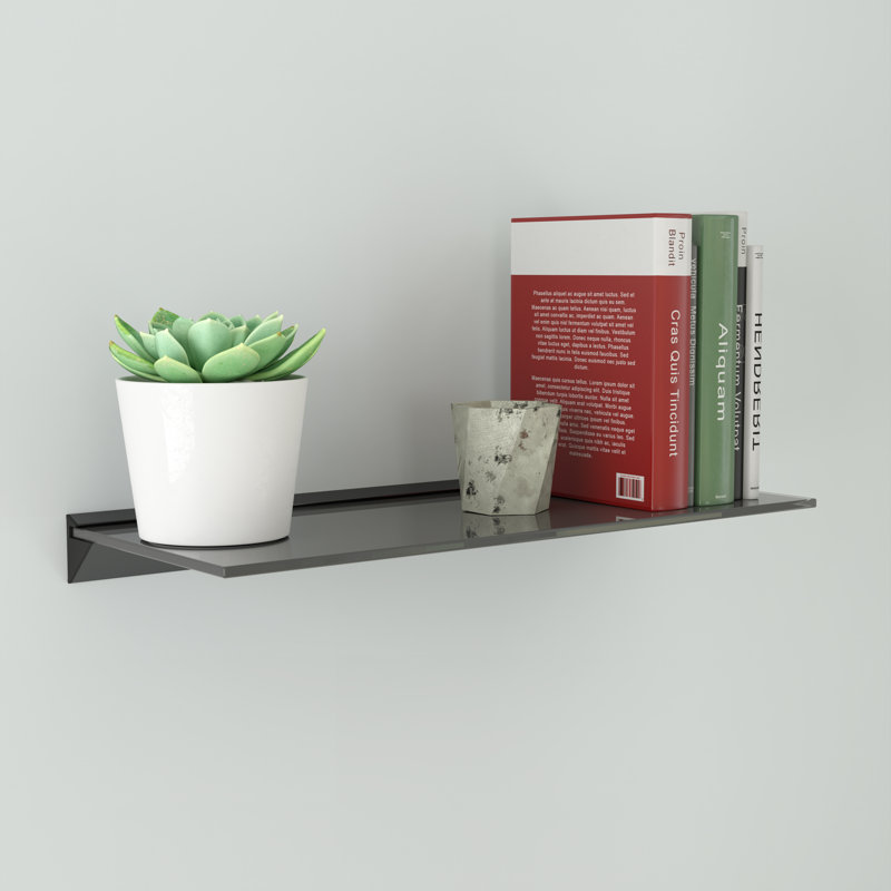 Reeana Metal Wall Mounted Shelving Unit, 5.5cm H x 60cm W x 25cm D