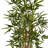 54'' Faux Bamboo Tree in Wood Planter