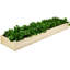 Lit de jardin surélevé en bois 8 pi x 2 pi Swerve