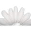 Radial Shell Mirror, White Stone
