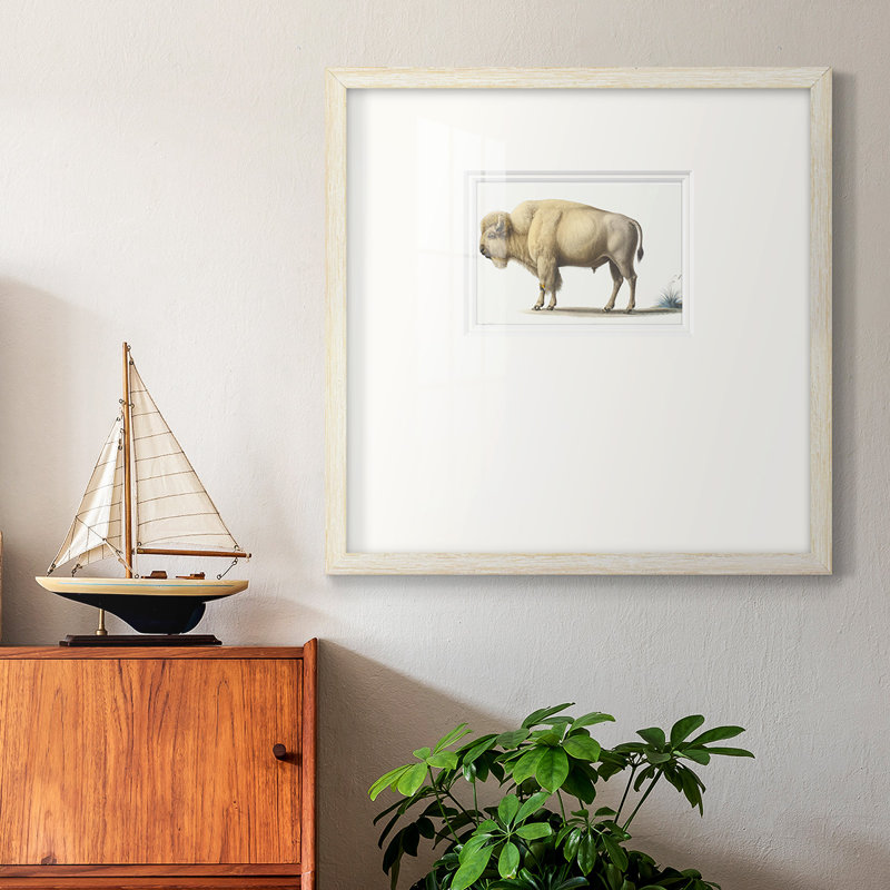 " White Buffalo ", 17" H x 17" W x 1.25" D