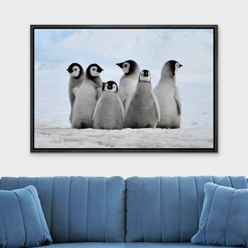 Animaux, petits pingouins sur toile, H 24 po x l 36 po x P 1,5 po, Cadre noir