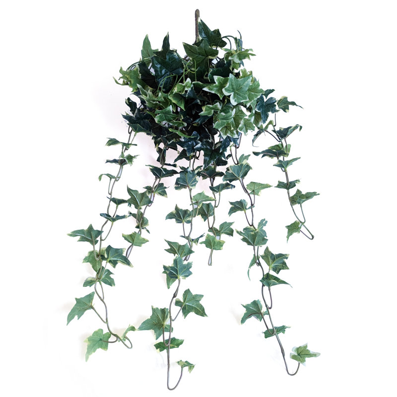 Faux Ivy Plant, 35" H x 22" W x 4" D