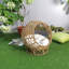 Lit pour chat Zelma Dome