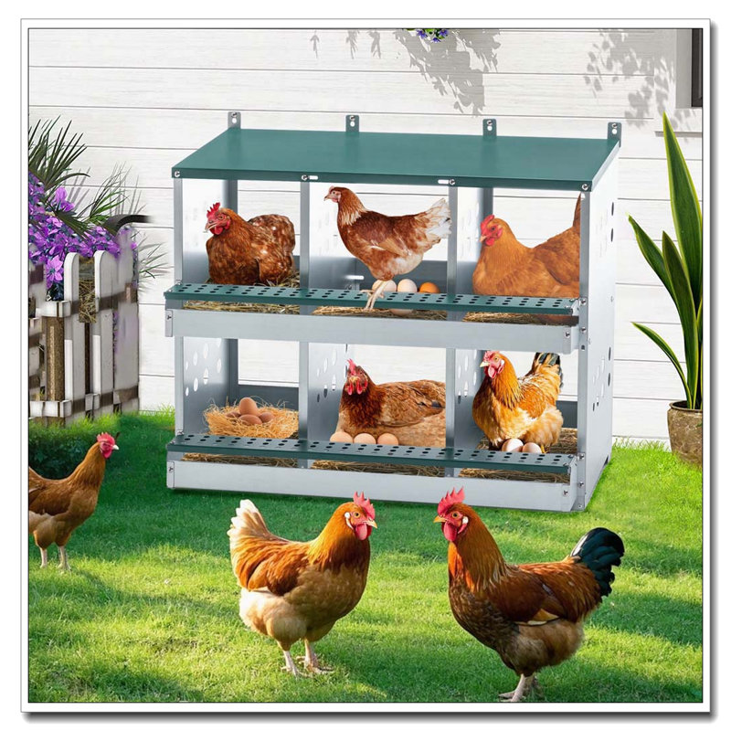 6-Compartment Roll Away Chicken Nesting Box