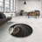 Indoor Rug-1096803398