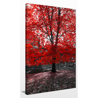 « red tree », reproduction de photo sur toile tendue