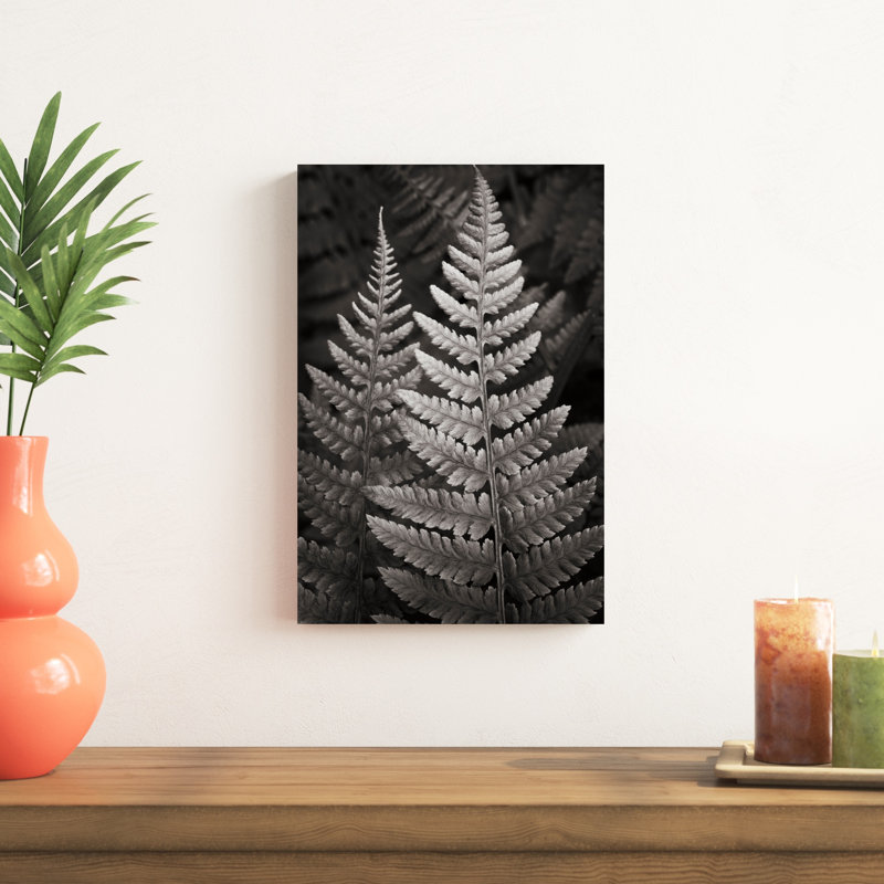 Lady Fern I, H 18 po x l 12 po x P 1,25 po