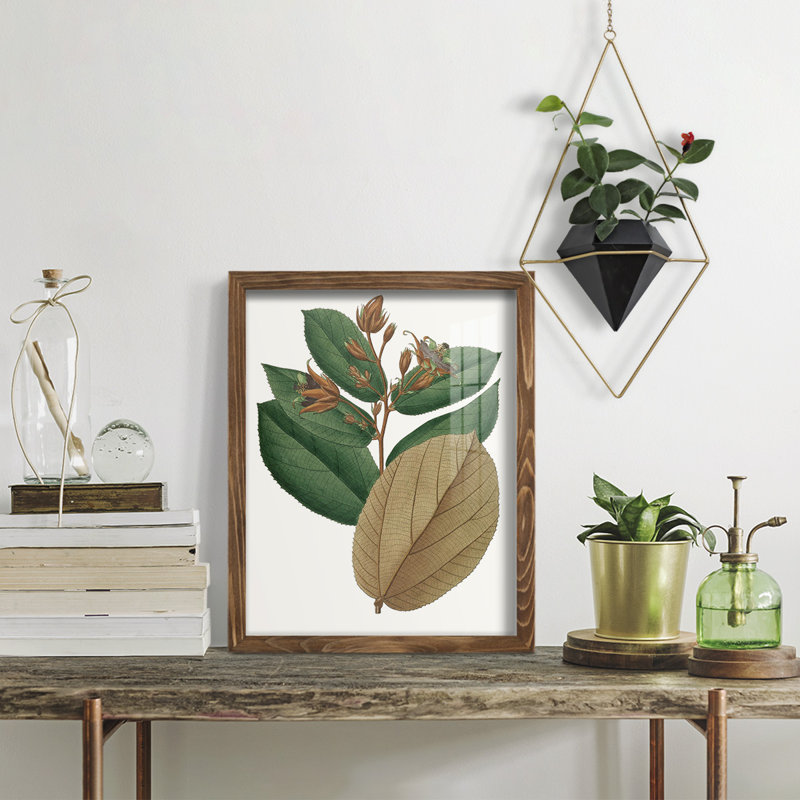 Fall Foliage III, reproduction d'art encadrée, H 15 po x l 12 po x P 1 po, Noyer