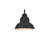 Callen Outdoor Wall sconce in Black