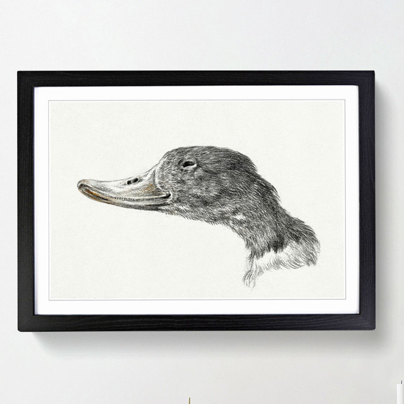 Head of a Duck by Jean Bernard - Framed Print, 48cm H x 65cm W x 2cm D, Black Framed