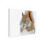 Art mural sur toile tendue - Mircea Costina «Christmas Squirrel», décoration murale pour le salon, la chambre à coucher ou le bureau - 14 x 19-22374968