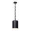 Alston 1 Light Mini Pendant-654769663