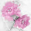 «Flower Bloom in Pink I» par Jesse Stevens, reproduction sur toile tendue sur châssis-72032253-72032254-72032258