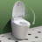 Calla Dual-Flush Elongated One-Piece Toilet (Seat Included)